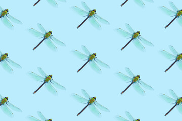 Seamless pattern of colorful dragonflies on pastel blue background. Spring, summer or nature concept. Isometric view.