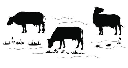 Cow in the meadow. Black vector silhouette.