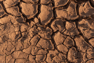 The texture of cracked earth.