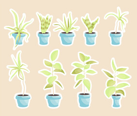 House plants in pots, office flowers cute sticker pack, cartoon tropic leaves. Green icon set of palm tree, philodendron, ficus, sansevieria, succulent. Garden plant vector illustration.