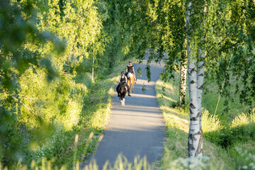 Fototapeta premium Two riders on the road on summer evening during sunset. Black helmets.