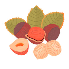 Hazelnut kernels and leaves.Nuts in  whole form,in  open shell and without peel.Botanical background for printing on fabric and paper.Realistic vector flat isolated  illustration for design card.