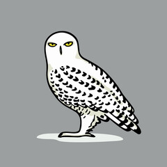 Vector illustration of hand drawn gorgeous snowy owl. Ink drawing, decorative graphic style. Beautiful animal design elements, logo template