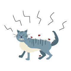 Vector illustration of a cat being attacked by fleas. The cat itches. Ectoparasite infestation. The kitten is bitten by fleas. Angry cat. Actual summer illustration on the theme of animals.