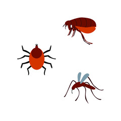 Flea. Mosquito. Mite. Vector illustration of insects. Bloodsucking set. Pet parasites. Ectoparasites. White isolated background.