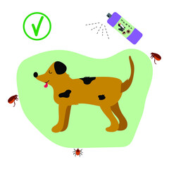  Tick and flea supplies. Dog treated with flea spray. Flea and tick spray. Protection of animals from insects in summer. Protection against ectoparasites. Protection sign. Treatment of animals.