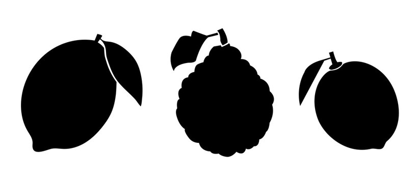 Vector Set of fruits  - a lemon, bergamoth, and a lime - black icons on white background