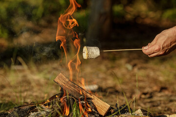 Roasting marshmallow on skewer over the bonfire. The concept of adventure, travel, tourism and camping - obrazy, fototapety, plakaty