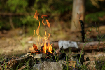 Close up of burning timber bonfire in summer forest..The concept of adventure, travel, tourism, camping, survival and evacuation.