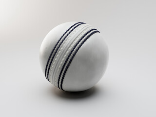 White Cricket Ball
