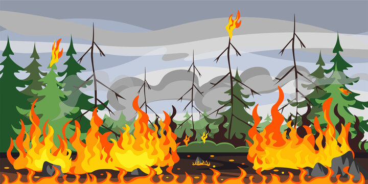 Vector Illustration Of Natural Disaster. Cartoon Landscape With Forest Fire That Destroyed All Vegetation.