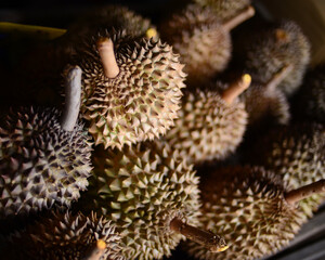 Naklejka na ściany i meble Durian is king of tropical fruits. Group of fresh durians fruit prepare in the basket for sale.