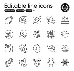 Set of Nature outline icons. Contains icons as Potato, Leaf dew and Sun energy elements. Startup, Feather, Night weather web signs. Dirty water, Leaf, Organic tested elements. Peanut. Vector