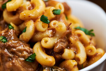 Pasta with veal meat and German Cream Sauce