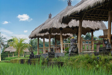 Fototapeta na wymiar Three Balinese bamboo huts with straw roof
