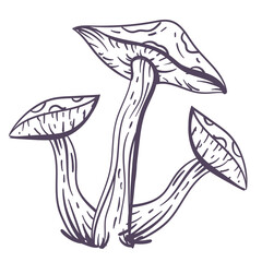 Boho toxic magical witchy spiritual mushroom line art design element. Vector flat graphic design illustration