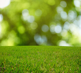 Obraz na płótnie Canvas Beautiful lawn with green grass on sunny day. Bokeh effect