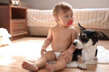 Adorable baby with pacifier and cute dog on faux fur rug at home, space for text