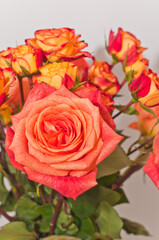 top, front view, medium and close distance of, a ceramic, colorful, vase, with three, long stemmed, orange, roses and a dozen, baby, orange and red roses, in full bloom