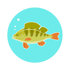River fish perch. Cooking delicious food. Underwater life. Cartoon vector illustration