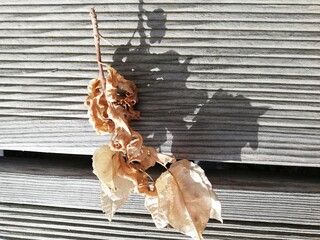 imágenes minimalistas de la naturaleza en un puerto 