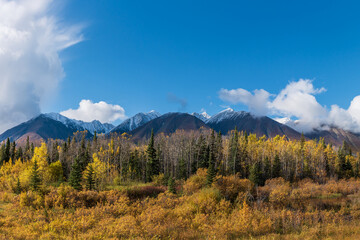 Fototapeta na wymiar The remarkable, stunning, autumn, fall landscape of Yukon Territory in Northern Canada. Highway, road trip shot with mountain views.