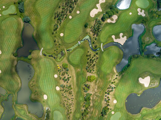 Golf Field Background. Aerial view of green grass and trees on a golf field. Golf course beautiful...