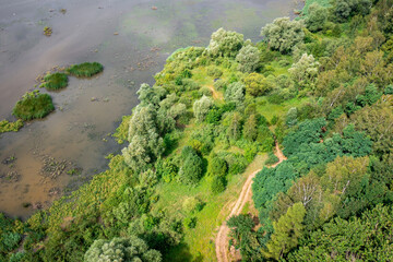 Fototapeta na wymiar The green backwaters of the river, the habitat of wild animals. Aerial view. 