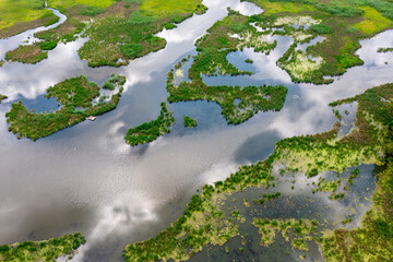 The green backwaters of the river, the habitat of wild animals. Aerial view. 