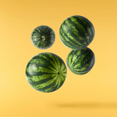 Fresh raw watermelon falling in the air isolated