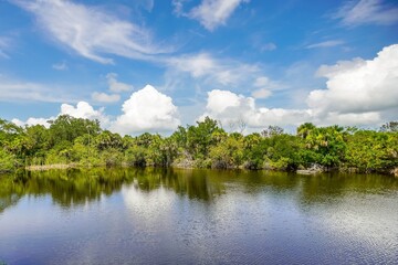 Wooded landscape with a lake and clouds reflecting on the lake