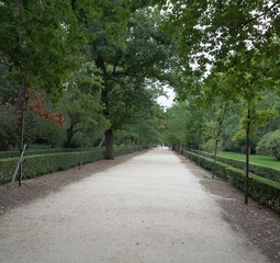 Fototapeta na wymiar Views of a beautiful urban park in Madrid, Spain. 
