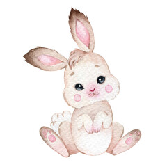 Watercolor farm animal, rabbit , hand painted