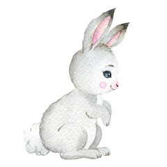 Watercolor farm animal, rabbit , hand painted