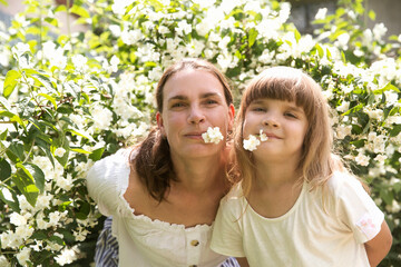 mom and little daughter holding and inhaling jasmine scent amid flowering jasmine bushes in garden...