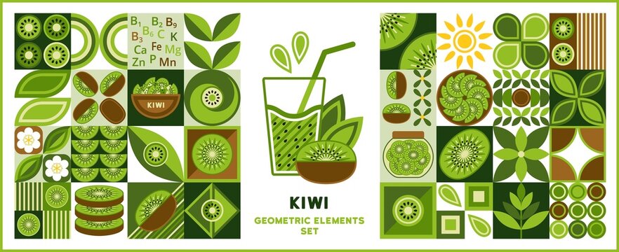 Set of design elements, logo with kiwi in simple geometric style. Abstract shapes. Good for branding, decoration of food package, cover design, decorative print, background.