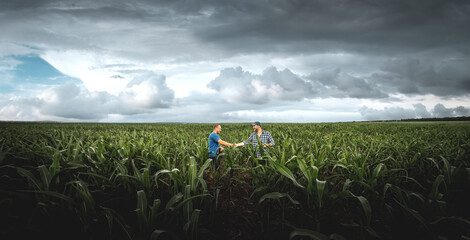 Fototapeta na wymiar Two farmers in an agricultural corn field on a cloudy day. Agronomist in the field against the background of rainy clouds