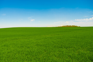 Fototapeta na wymiar Idyllic grassland, rolling green fields, blue sky and white clouds in the background