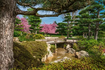  Japanese garden in Nordpark, Dusseldorf, Germany © EwaStudio