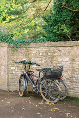 Fototapeta na wymiar Two vintage style bicycles in the park.