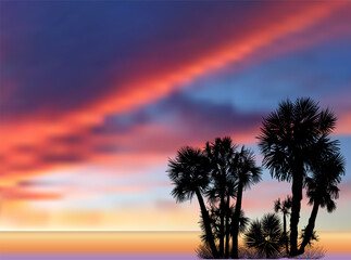 palm trees at red and lilac sunset background