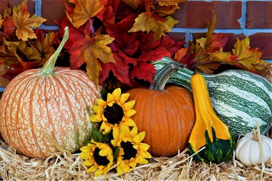 Fall Harvest
