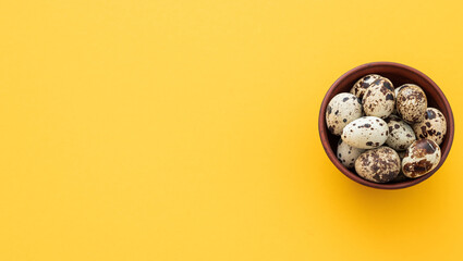 Quail eggs on a background. Natural products. Place for text. Fresh quail eggs.