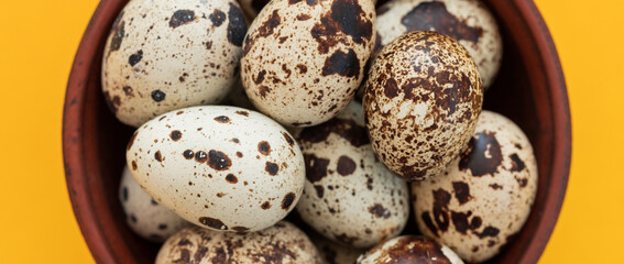 Quail eggs on a background. Natural products. Place for text. Fresh quail eggs.