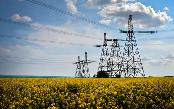 Transmission towers in the middle of a yellow canola field in bloom. High voltage power line at Spring