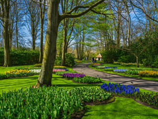 walking pathways and tulips in Keukenhof garden in Lisse, Netherlands