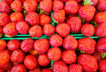 Bird's Eye View of Boxes of Fresh and Juicy Strawberries