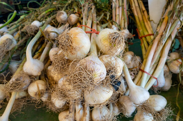 Fresh Garlics For Sale at a Road Side Farmer's Market