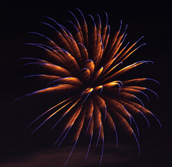 Playing with fireworks in the night sky