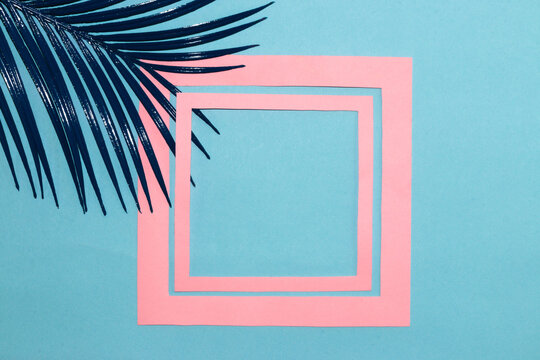 art tropical background, pastel blue background with blue palm leaf and pink frame in frame, creativity, copy space, product space